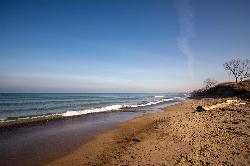 Looking east along West Beach, with driftwood below the wooded foredune. courtesy of Matthew Dillon from Hollywood, CA, USA&nearr; (CC BY 2.0&nearr;)