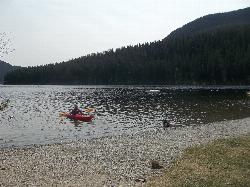 A kayaker and a swimmer just off the day-use beach at Tally Lake Campground. courtesy of Forest Service Northern Region from Missoula, MT, USA&nearr; (Public domain&nearr;)