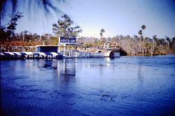 The Weeki Wachee spring basin and underwater theatre in the 1950s. courtesy of Tupelo the typo fixer&nearr; (CC BY-SA 4.0&nearr;)