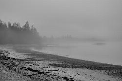 Fog over the swim beach and Englishman Bay at Roque Bluffs State Park. courtesy of KimCarpenter NJ&nearr; (CC BY 2.0&nearr;)