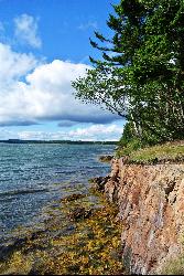 Rocky bluffs and seaweed-covered ledges along the park's shoreline. courtesy of due_mele from Nomads of Earth&nearr; (CC BY 2.0&nearr;)