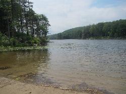Clear shallow water along the sandy shore of Canopus Lake. courtesy of TheTurducken&nearr; (CC BY 2.0&nearr;)