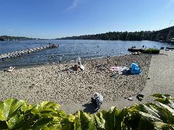 The sand beach and swim dock at Enatai Beach Park on a summer afternoon. courtesy of Steven Pavlov&nearr; (CC BY-SA 4.0&nearr;)