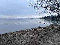 Sandy shoreline at Juanita Beach looking out over Lake Washington. courtesy of Steven Pavlov&nearr; (CC BY-SA 4.0&nearr;)