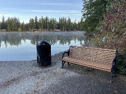 A bench on the beach at Pine Lake Park looking across the lake. courtesy of Steven Pavlov&nearr; (CC BY-SA 4.0&nearr;)