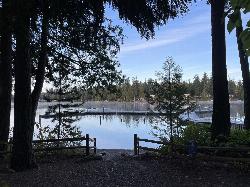The dock and lake seen through the shoreline trees at Pine Lake Park. courtesy of Steven Pavlov&nearr; (CC BY-SA 4.0&nearr;)
