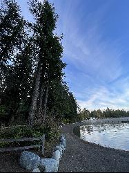 The shoreline path along the water at Pine Lake Park. courtesy of Steven Pavlov&nearr; (CC BY-SA 4.0&nearr;)
