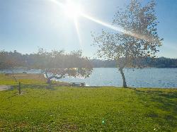 Lakeside lawn and picnic table beside the water at Bonelli Park. courtesy of Robotics&nearr; (CC0&nearr;)
