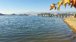 Calm water along the Puddingstone Lake shoreline, with the dam and mountains in the distance. courtesy of Robotics&nearr; (CC0&nearr;)