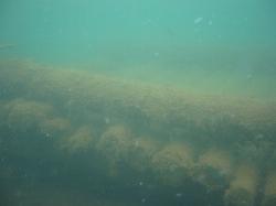 A fish crib under the clear water of Wazee Lake. courtesy of Elkman&nearr; (CC BY-SA 3.0&nearr;)