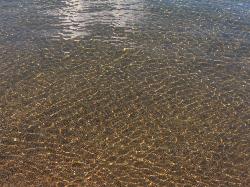 Sunlight ripples over the sandy lake bottom just off Pope Beach. courtesy of Ken Lund&nearr; (CC BY-SA 2.0&nearr;)