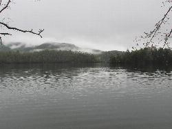 Morning mist lifting off Santeetlah Lake, seen from the shore near Cheoah Point. courtesy of Miles Buddy&nearr; (CC BY-SA 3.0&nearr;)