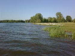 Gun Lake shoreline and lawn in the Yankee Springs day-use area. courtesy of hywell&nearr; (CC BY 2.0&nearr;)
