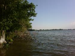 Looking out over Gun Lake from the park's wooded east shore. courtesy of hywell&nearr; (CC BY 2.0&nearr;)
