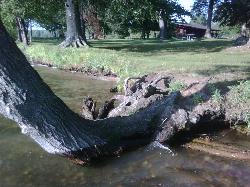 Shallow water at the shore with a picnic shelter in the day-use area behind it. courtesy of hywell&nearr; (CC BY 2.0&nearr;)