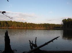 Jordan Lake seen from the wooded shore of the Ebenezer Church Recreation Area. courtesy of Gerry Dincher&nearr; (CC BY-SA 2.0&nearr;)