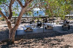 Shaded tables and grills at the Boulder Beach picnic area. courtesy of Andrew Cattoir (Lake Mead National Recreation Area)&nearr; (Public domain&nearr;)