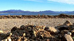 The gravel shore of Boulder Beach looking out over the Boulder Basin. courtesy of Aschw011&nearr; (CC BY-SA 3.0&nearr;)