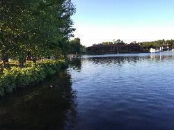 Evening on Old Forge Pond, the water the beach fronts. courtesy of Guitarbogus&nearr; (CC BY-SA 4.0&nearr;)