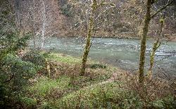 A path through the trees to the Smith River at the recreation site. courtesy of BLM Oregon & Washington&nearr; (CC BY 2.0&nearr;)