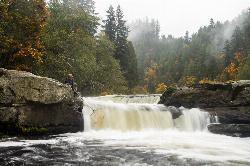 An ODFW worker nets salmon at the main drop of Smith River Falls. courtesy of BLM Oregon & Washington&nearr; (CC BY 2.0&nearr;)