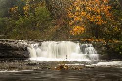 A side cascade of Smith River Falls dropping into the pool below a maple in autumn. courtesy of BLM Oregon & Washington&nearr; (CC BY 2.0&nearr;)