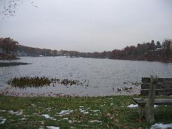 Lake Marcia in late fall, looking south from the north shore toward the beach end. courtesy of Federico Pizano&nearr; (CC BY 3.0&nearr;)