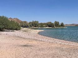 A gravel cove with shade trees on the reservoir's North Shore. courtesy of BLMArizona&nearr; (Public domain&nearr;)