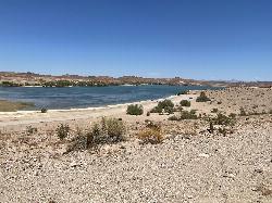 Open gravel beach and desert brush on the South Shore. courtesy of BLMArizona&nearr; (Public domain&nearr;)