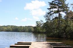 Pines along the Lake Rutledge shoreline beside the boat docks in Hard Labor Creek State Park. courtesy of savoryexposure&nearr; (CC BY-SA 2.0&nearr;)