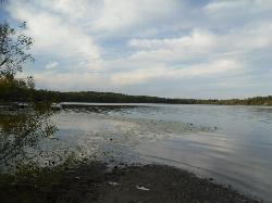 Open water on Thompson's Lake looking down the lake past the shallows along the shore. courtesy of Dougtone&nearr; (CC BY-SA 2.0&nearr;)