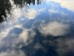 Trees and clouds reflected in Martha Lake, seen from a park dock. courtesy of PinchyCC&nearr; (CC BY 4.0&nearr;)