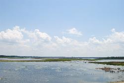 Lake Geneva seen from Keystone Beach during the low water of 2014. courtesy of Excel23&nearr; (CC BY-SA 4.0&nearr;)