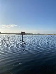 High water on Lake Geneva at Keystone Beach in 2020, with a submerged road sign. courtesy of Saraleebread&nearr; (CC BY-SA 4.0&nearr;)