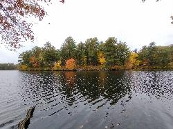 Bean Island in Dug Pond, seen from the pond's north shore. courtesy of Greenbeanbedroom&nearr; (CC0&nearr;)
